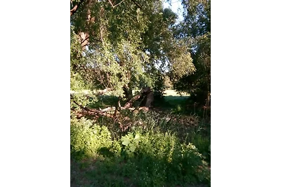 Vakantieappartement Gezinsvakantie Hoppegarten