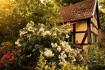 Idyllisches Ferienhaus Nähe