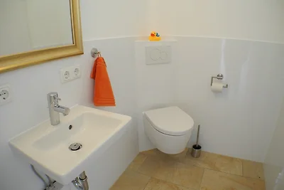 Uferschwalbe - Hohwacht