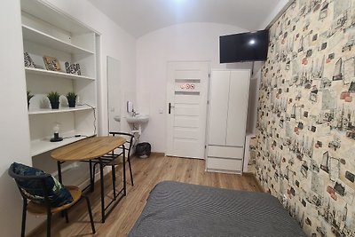 Single room (Cracow Old Town)