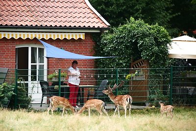 Ferienhaus "Zur Alten Fähre"