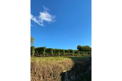Appartamento Vacanza con famiglia Heppenheim