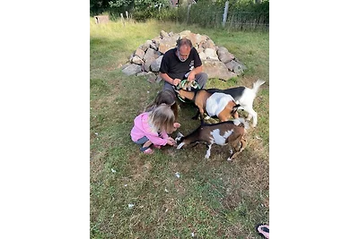 Naturhof Buschwiesen - Wohnung Lama