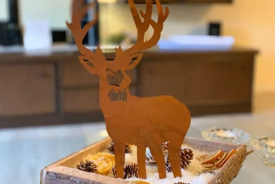 Premiumferienwohnung - Köhnke 1