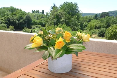 Vakantieappartement Gezinsvakantie Regionalverband Saarbrücken