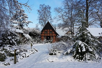 Vakantiehuis Ontspannende vakantie Sögel