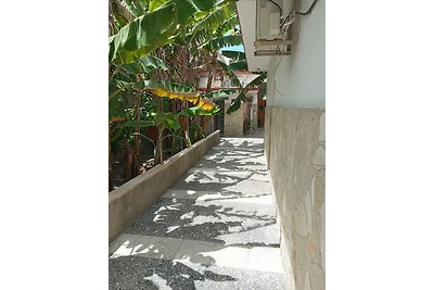 Villa Concepción Appartement 1