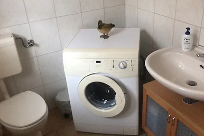 Vakantieappartement Gezinsvakantie Heiligengrabe