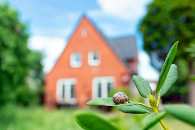 Vakantieappartement Gezinsvakantie Lathen