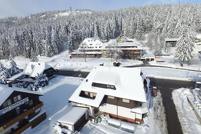 Appartamento Vacanza con famiglia Feldberg