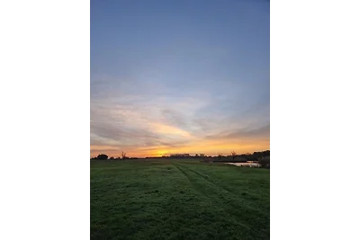 Helles Tiny House im Grünen (402)