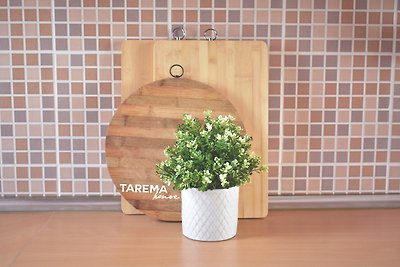 TAREMA