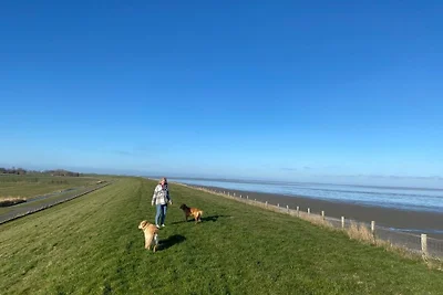 Nr. 88 Neues, ruhiges