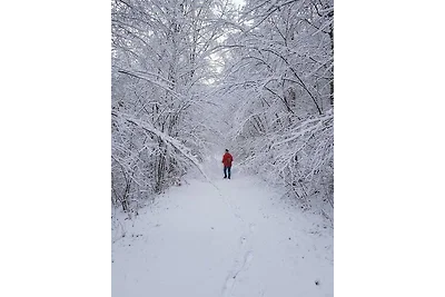 Ferienwohnung Prümtalblick