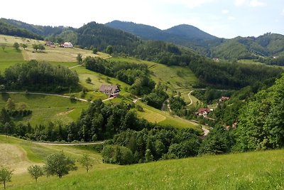 Vakantieappartement Gezinsvakantie Oppenau