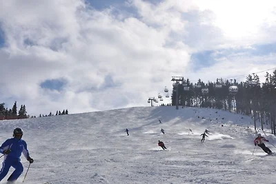 Almrausch-Feriendorf Koralpe