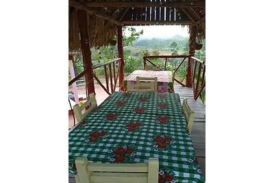 Casa Pinky Appartement 1