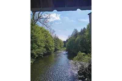 Vakantieappartement Gezinsvakantie Grünhainichen