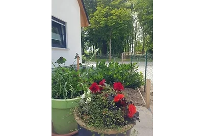 Voss barrierefrei - ABC313