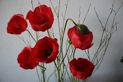 Ferienwohnung Freissl