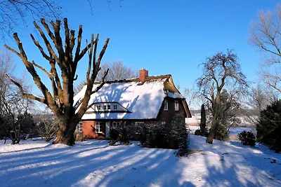 Reetdachhaus Eiderblick