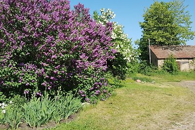 Vakantieappartement Gezinsvakantie Kloster Lehnin