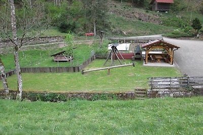 Appartamento Vacanza con famiglia Oberharmersbach