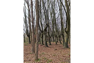 Ferienhaus Köhler am Walde, Urlaub