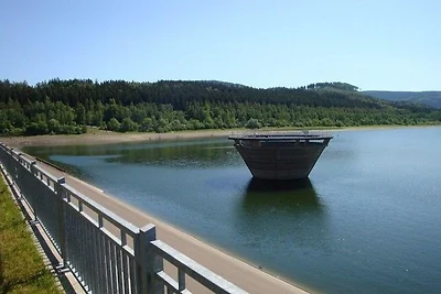 Vakantieappartement Gezinsvakantie Wolfshagen im Harz