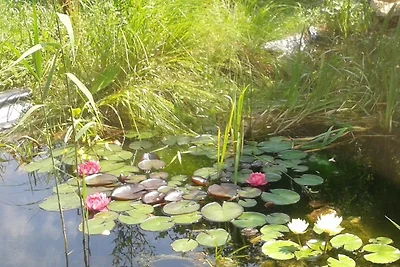 Ferienwohnung "Tier-Garten"
