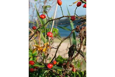 Ferienwohnung Oelstorf