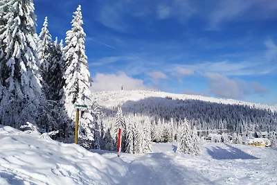 Appartamento Vacanza con famiglia Feldberg