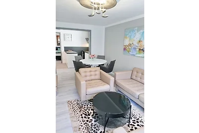 Toller Hecht - Traum in der