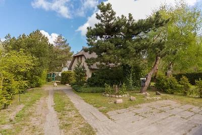 reetgedecktes FH am Deich 2/2