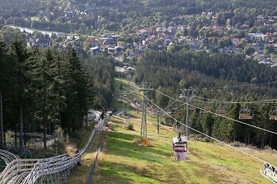 Vakantieappartement Gezinsvakantie Hahnenklee