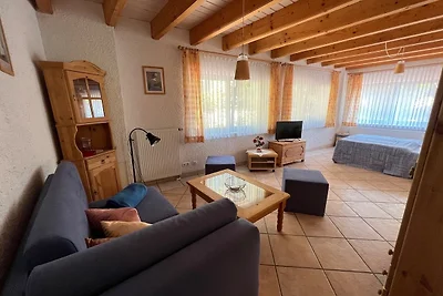 Appartamento Vacanza con famiglia Lindenfels