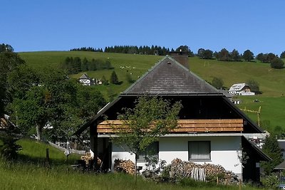 Schwarzwaldhaus Sonnenstrasse