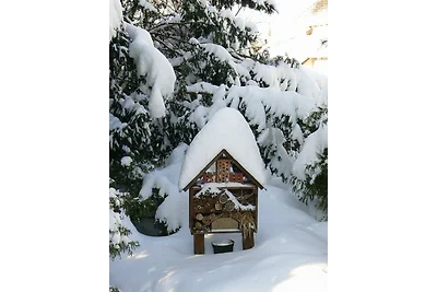 Appartamento Vacanza con famiglia Großhartmannsdorf