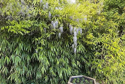 Vakantieappartement Gezinsvakantie Duhnen