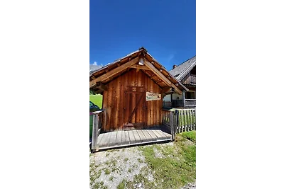 Casa vacanze Vacanza di relax Gröbming