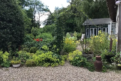 Hof Lücke - Ferienwohnung Natur