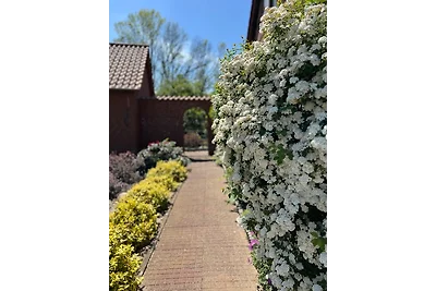 Elbwiesenhaus mit schönen Garten