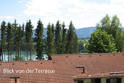 Ferienhaus Nr. 125, Kategorie