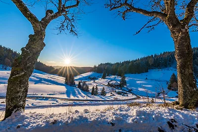Appartamento Vacanza con famiglia Feldberg