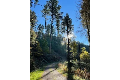 Vakantieappartement Gezinsvakantie Mastershausen