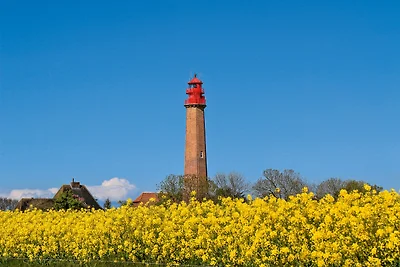 Holiday flat family holiday Burg auf Fehmarn
