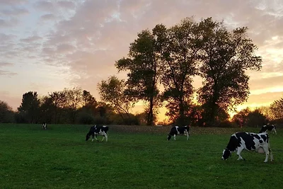 Inselhof Steengrafe - Weserblick