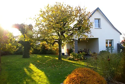 Ferienhaus Hummel-Nest