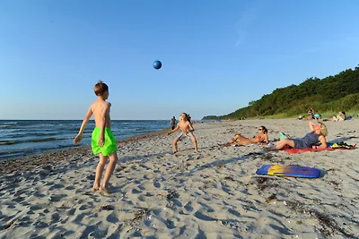 Palm Ferienhaus - Rot