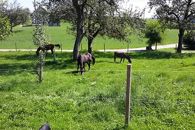 Appartamento Vacanza con famiglia Neukirch